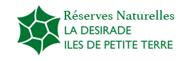 logo-onf